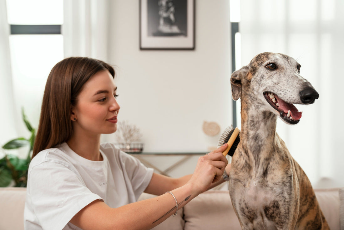 Pet Grooming: Simple Ways to Keep Your Dog Clean, Healthy & Happy