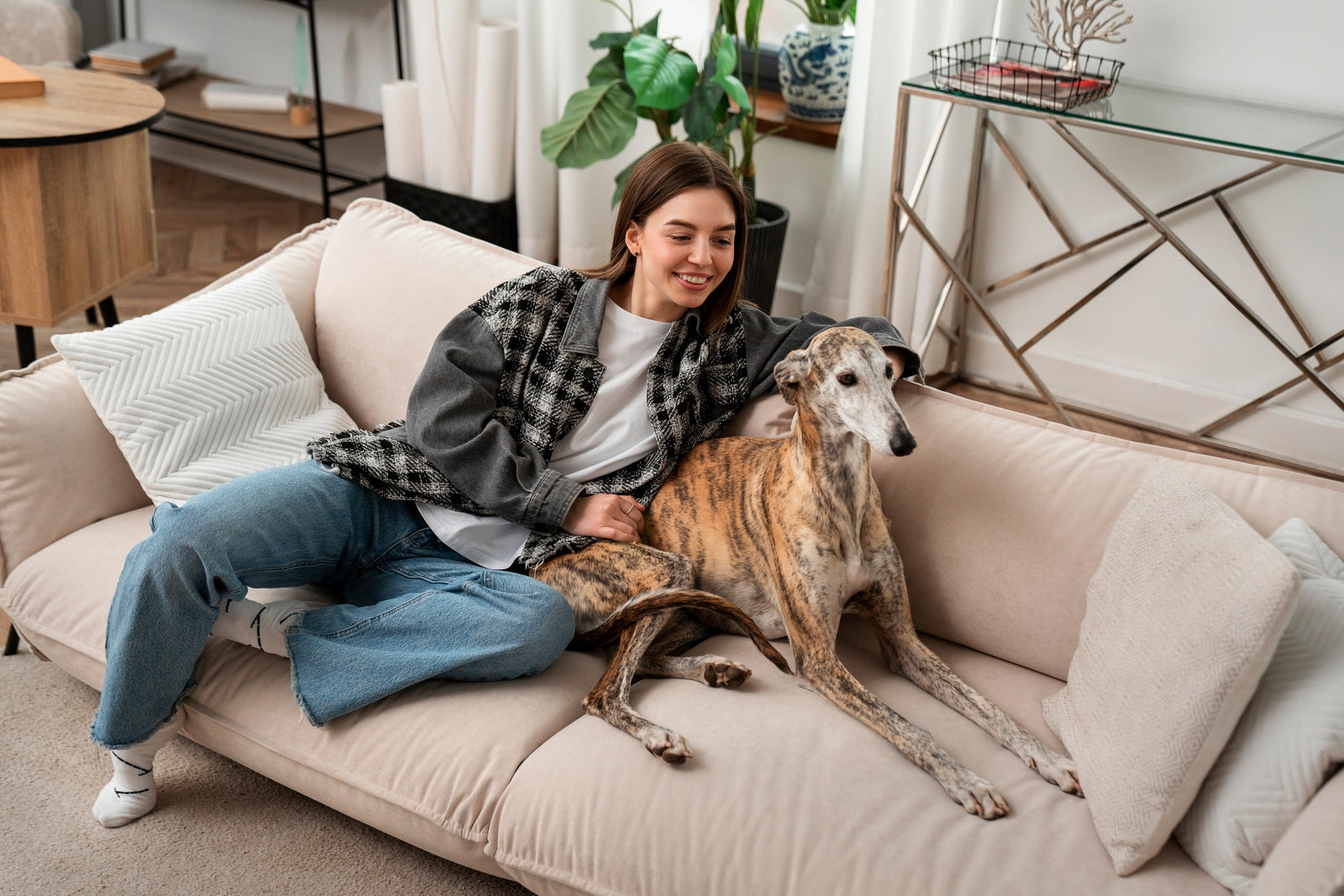 Pet Bed & Clothing